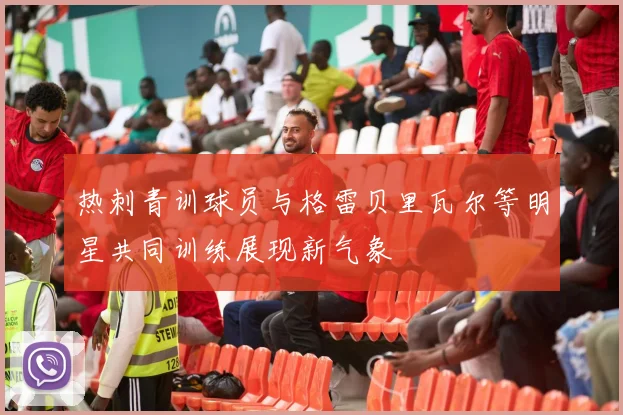 热刺青训球员与格雷贝里瓦尔等明星共同训练展现新气象